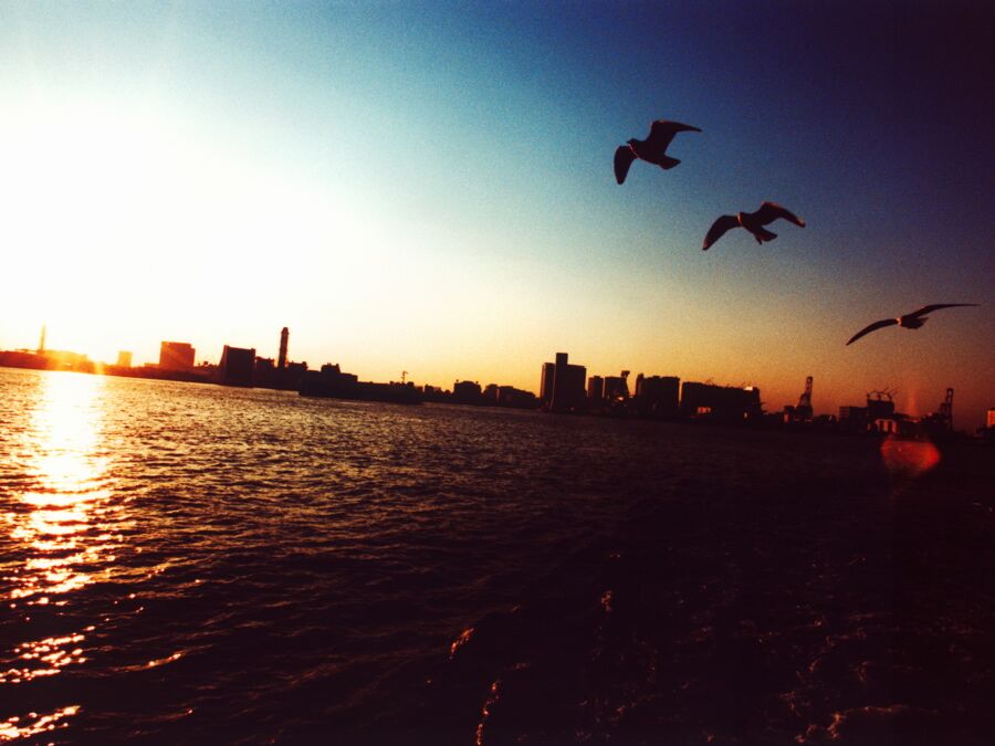 Sunset over Tokyo Bay